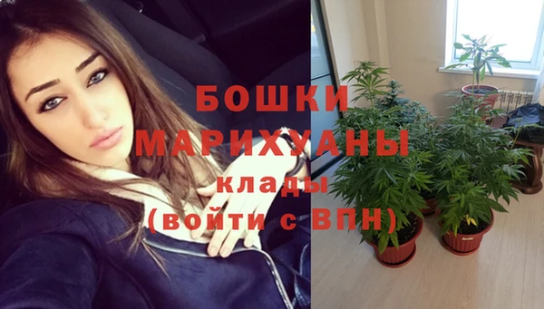 Альфа ПВП Абаза